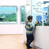 Child before museum display case